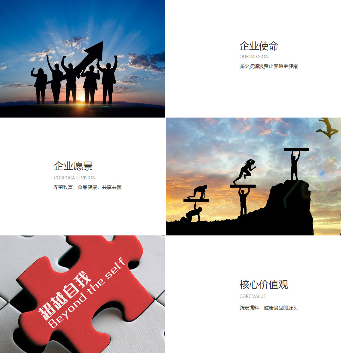 kaiyun路com(图1)